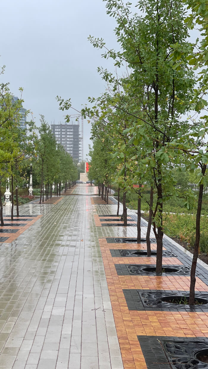 Приствольная решетка для дерева ZKING CRUST 1.2х1.2м Черная в Нальчике фото